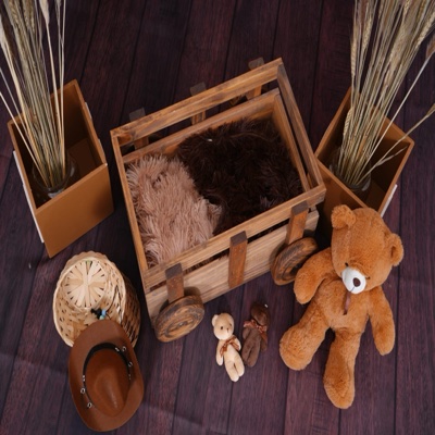 Rustic Sets