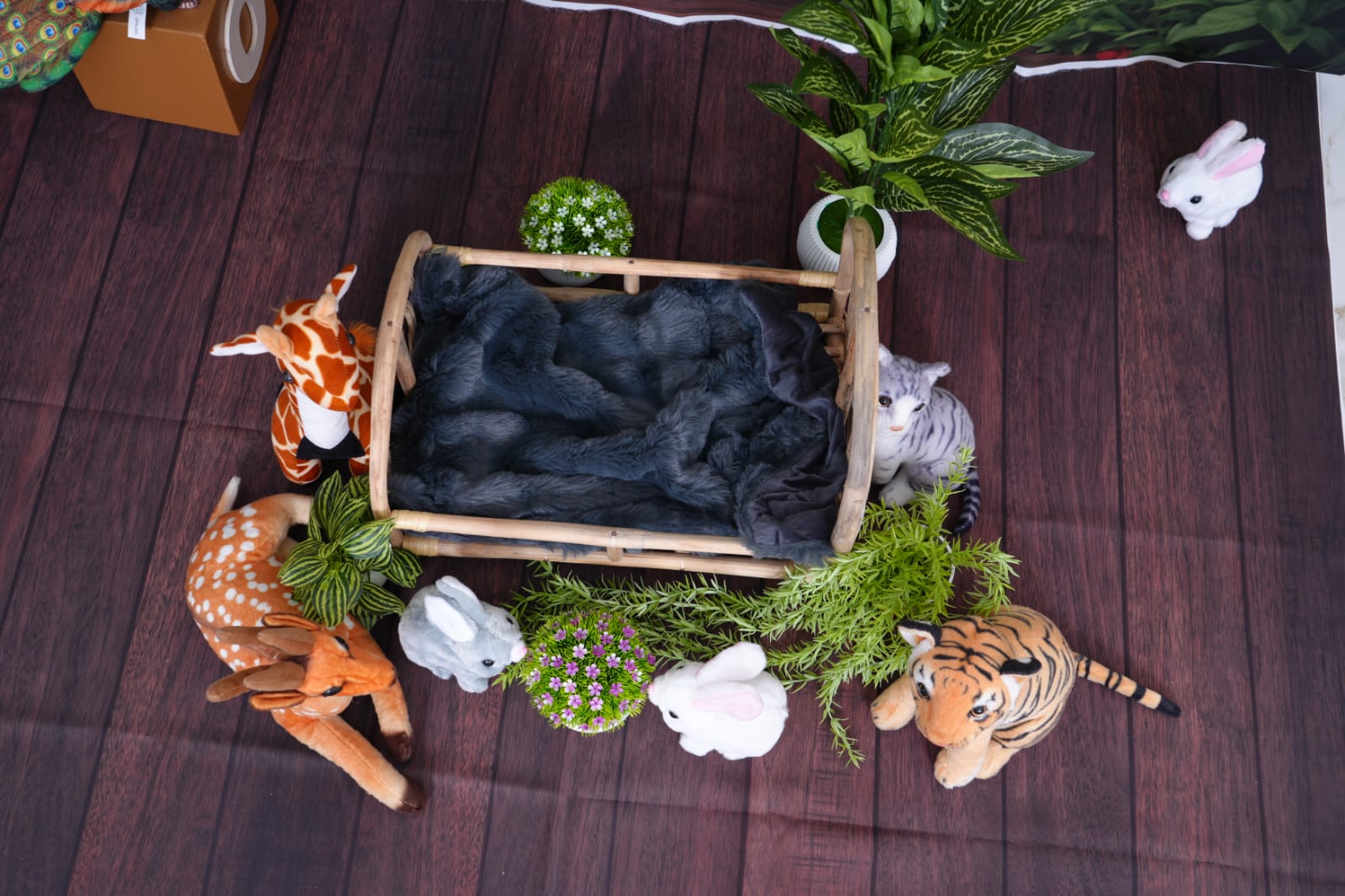 Jungle Safari - Newborn photoshoot theme at Aadhan Creation